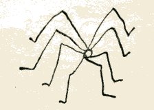 Daddy-Long-Legs from 'Daddy-Long-Legs' by Jean Webster